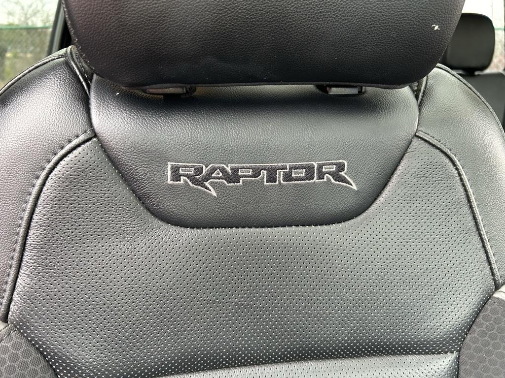 2020 Ford F-150 Raptor photo 41