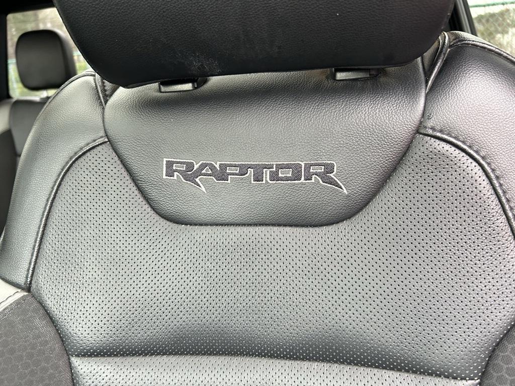 2020 Ford F-150 Raptor photo 48